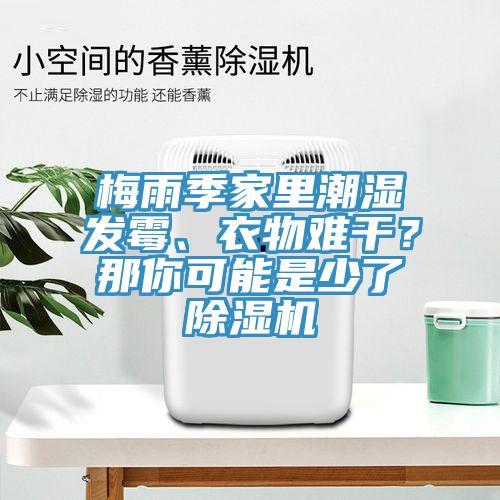 梅雨季家里潮濕發(fā)霉、衣物難干？那你可能是少了除濕機(jī)