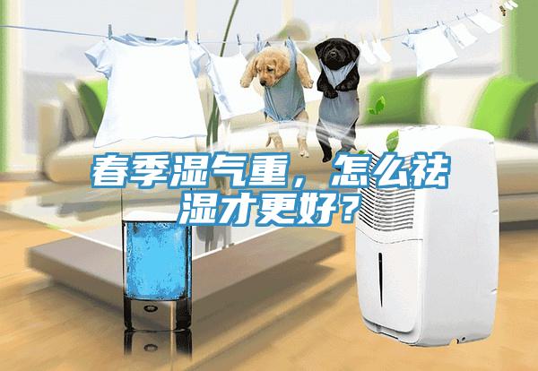春季濕氣重，怎么祛濕才更好？