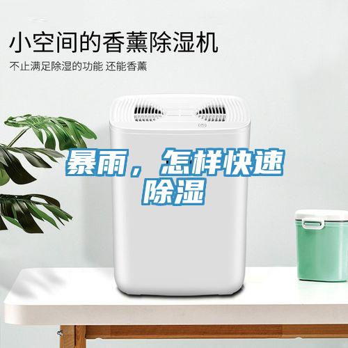 暴雨，怎樣快速除濕
