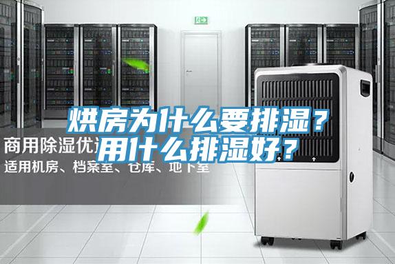 烘房為什么要排濕？用什么排濕好？
