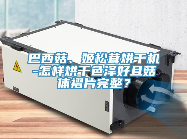 巴西菇、姬松茸烘干機-怎樣烘干色澤好且菇體褶片完整？