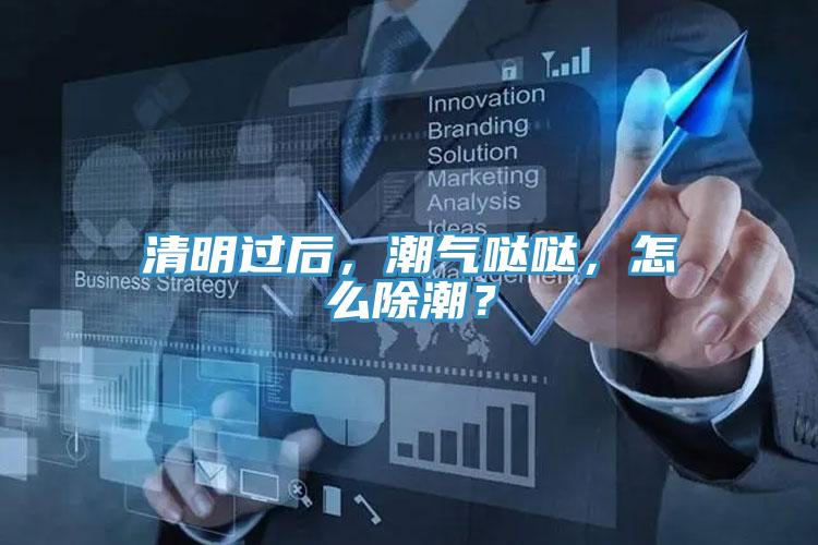 清明過后，潮氣噠噠，怎么除潮？