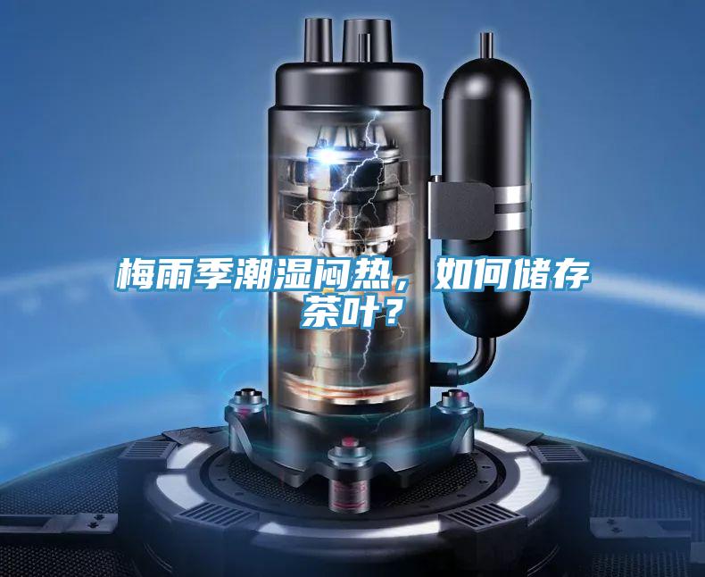 梅雨季潮濕悶熱，如何儲存茶葉？