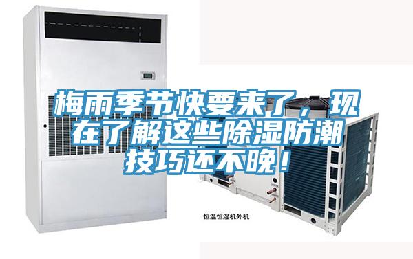 梅雨季節(jié)快要來(lái)了，現(xiàn)在了解這些除濕防潮技巧還不晚！