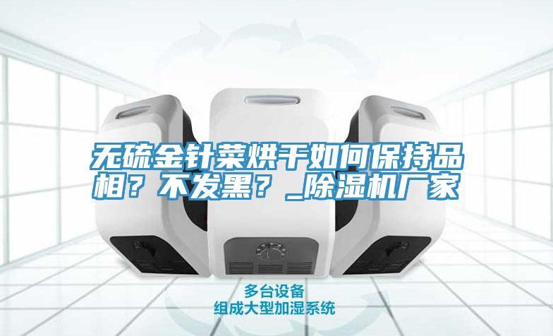 無硫金針菜烘干如何保持品相？不發(fā)黑？_除濕機(jī)廠家
