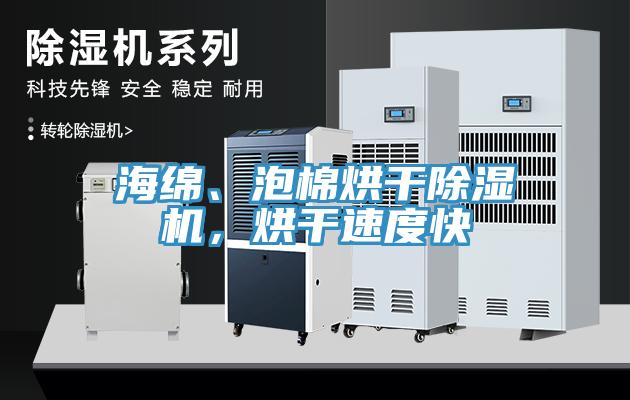 海綿、泡棉烘干除濕機(jī)，烘干速度快