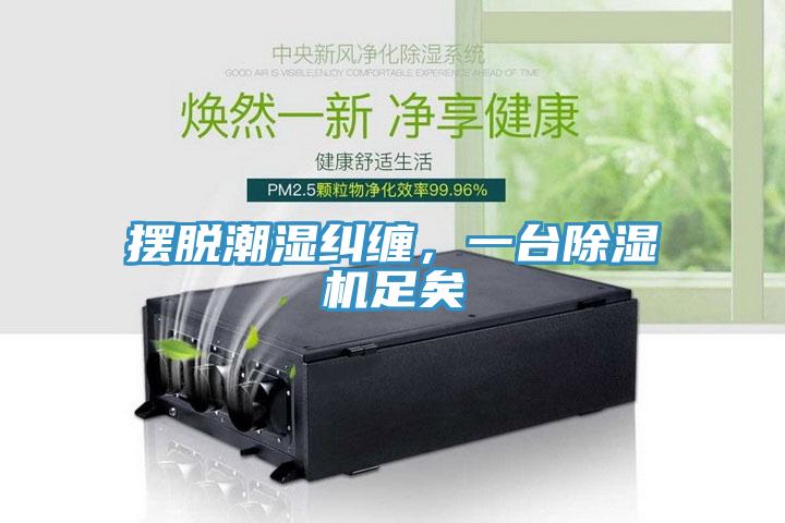 擺脫潮濕糾纏，一臺(tái)除濕機(jī)足矣