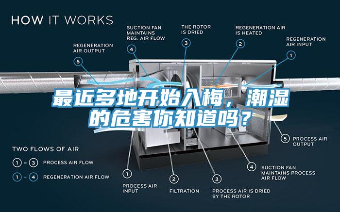 最近多地開始入梅，潮濕的危害你知道嗎？
