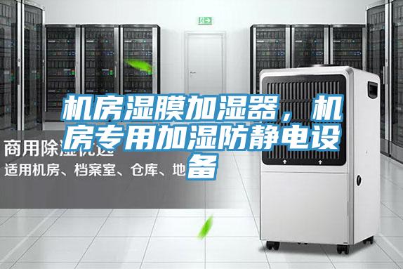 機(jī)房濕膜加濕器，機(jī)房專用加濕防靜電設(shè)備