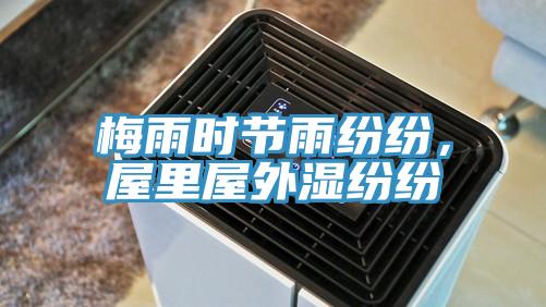 梅雨時(shí)節(jié)雨紛紛，屋里屋外濕紛紛