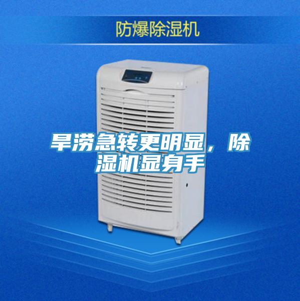 旱澇急轉(zhuǎn)更明顯，除濕機顯身手