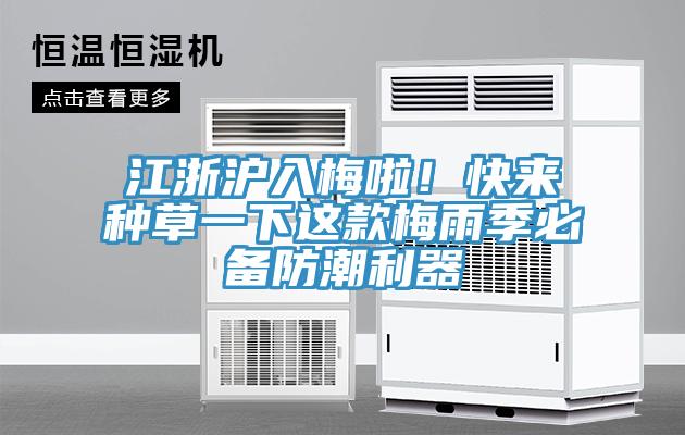 江浙滬入梅啦！快來種草一下這款梅雨季必備防潮利器