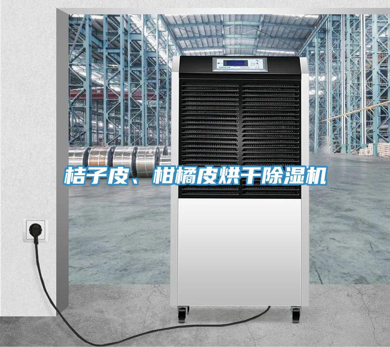 桔子皮、柑橘皮烘干除濕機(jī)