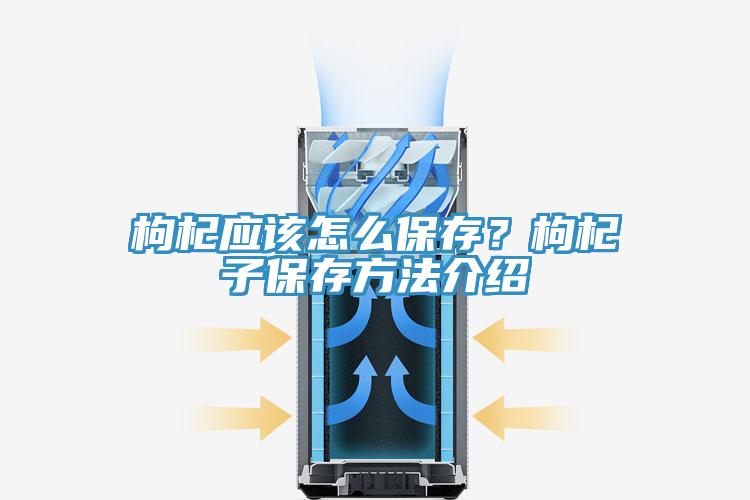 枸杞應(yīng)該怎么保存？枸杞子保存方法介紹
