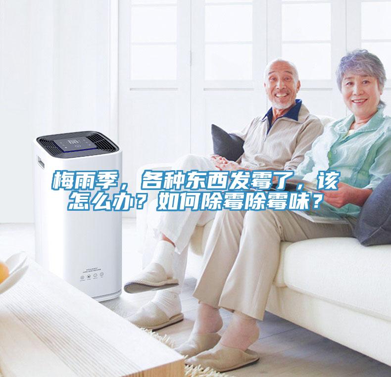 梅雨季，各種東西發(fā)霉了，該怎么辦？如何除霉除霉味？
