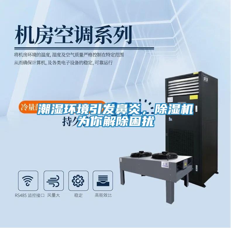 潮濕環(huán)境引發(fā)鼻炎，除濕機(jī)為你解除困擾