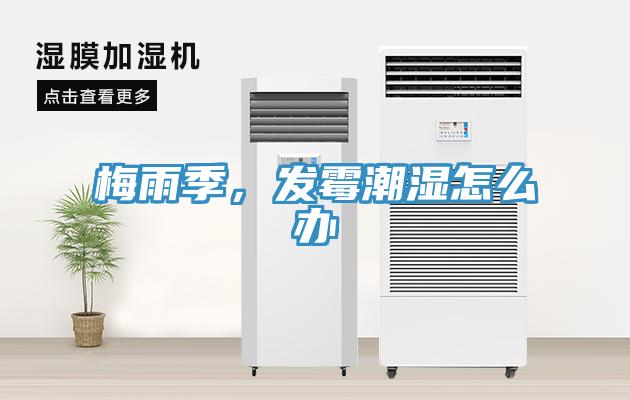 梅雨季，發(fā)霉潮濕怎么辦