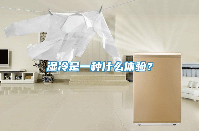 濕冷是一種什么體驗(yàn)？
