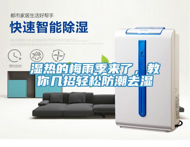 濕熱的梅雨季來(lái)了，教你幾招輕松防潮去濕