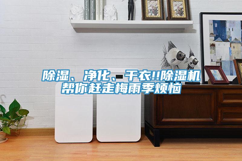 除濕、凈化、干衣!!除濕機幫你趕走梅雨季煩惱