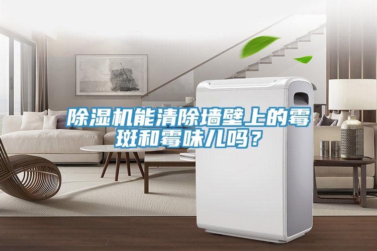 除濕機(jī)能清除墻壁上的霉斑和霉味兒嗎？