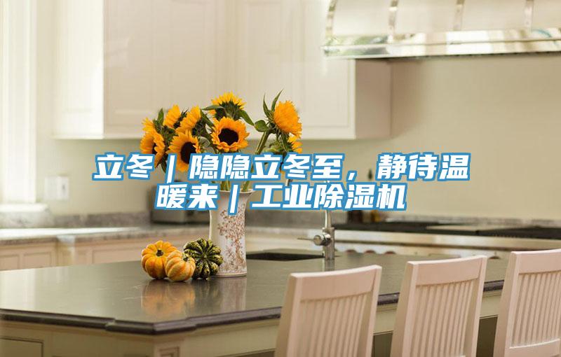 立冬｜隱隱立冬至，靜待溫暖來(lái)｜工業(yè)除濕機(jī)