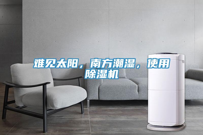 難見太陽，南方潮濕，使用除濕機(jī)