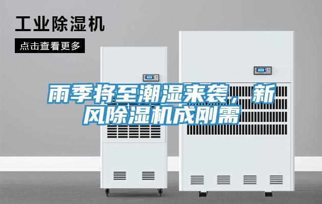雨季將至潮濕來襲，新風除濕機成剛需