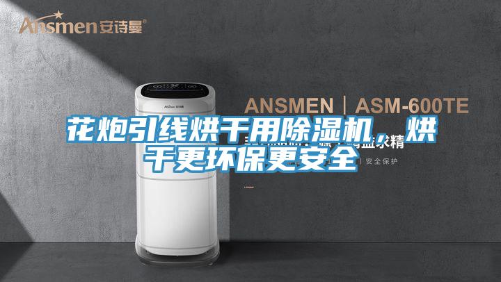 花炮引線烘干用除濕機，烘干更環(huán)保更安全