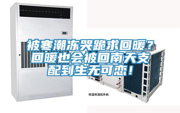 被寒潮凍哭跪求回暖？回暖也會被回南天支配到生無可戀！