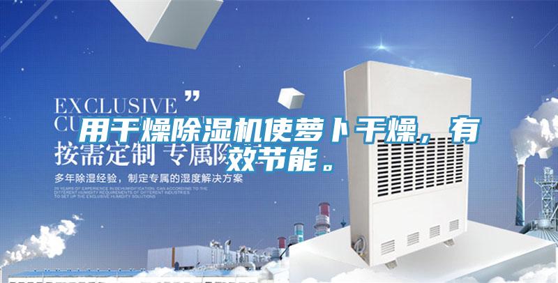 用干燥除濕機(jī)使蘿卜干燥，有效節(jié)能。