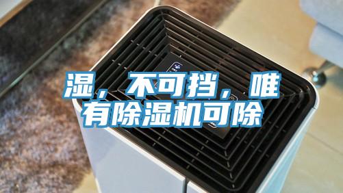濕，不可擋，唯有除濕機可除