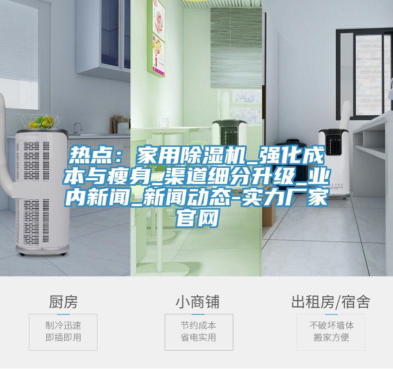 熱點：家用除濕機(jī)_強化成本與瘦身_渠道細(xì)分升級_業(yè)內(nèi)新聞_新聞動態(tài)-實力廠家官網(wǎng)