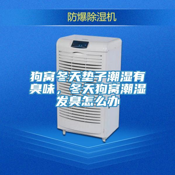 狗窩冬天墊子潮濕有臭味，冬天狗窩潮濕發(fā)臭怎么辦