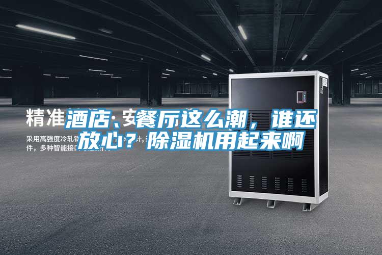 酒店、餐廳這么潮，誰(shuí)還放心？除濕機(jī)用起來(lái)啊