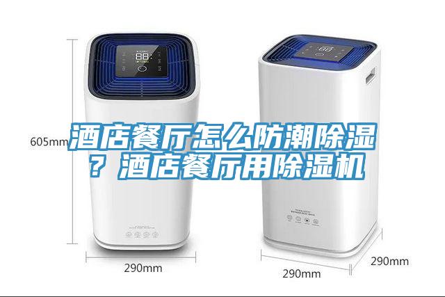 酒店餐廳怎么防潮除濕？酒店餐廳用除濕機(jī)