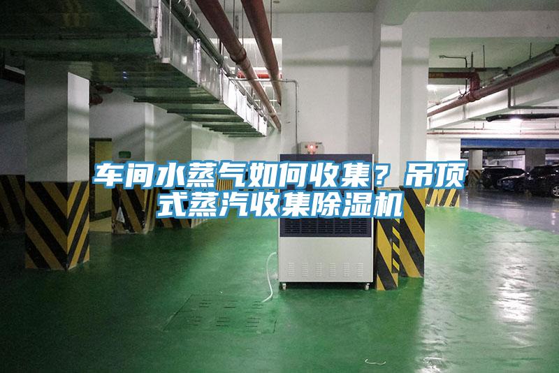 車間水蒸氣如何收集？吊頂式蒸汽收集除濕機