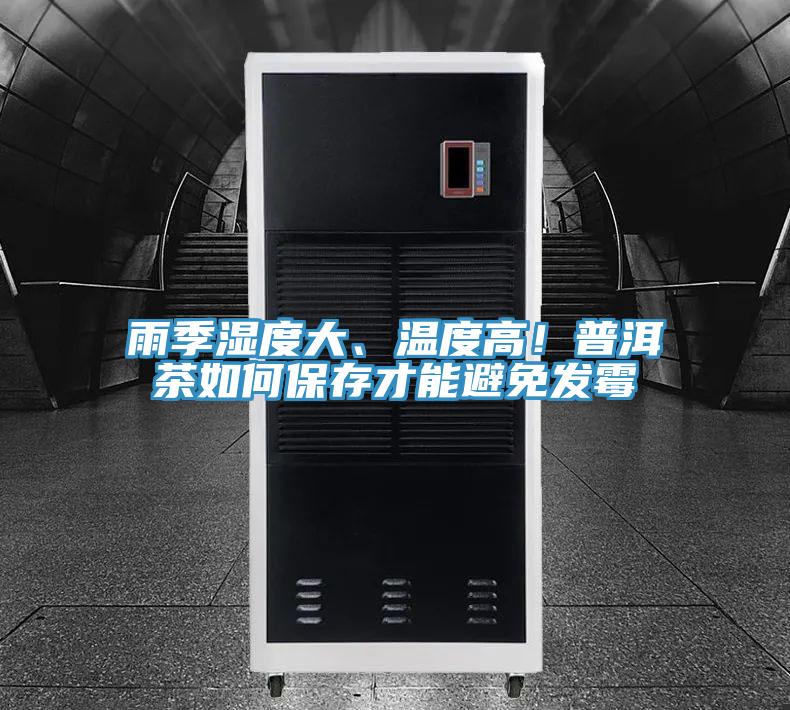 雨季濕度大、溫度高！普洱茶如何保存才能避免發(fā)霉