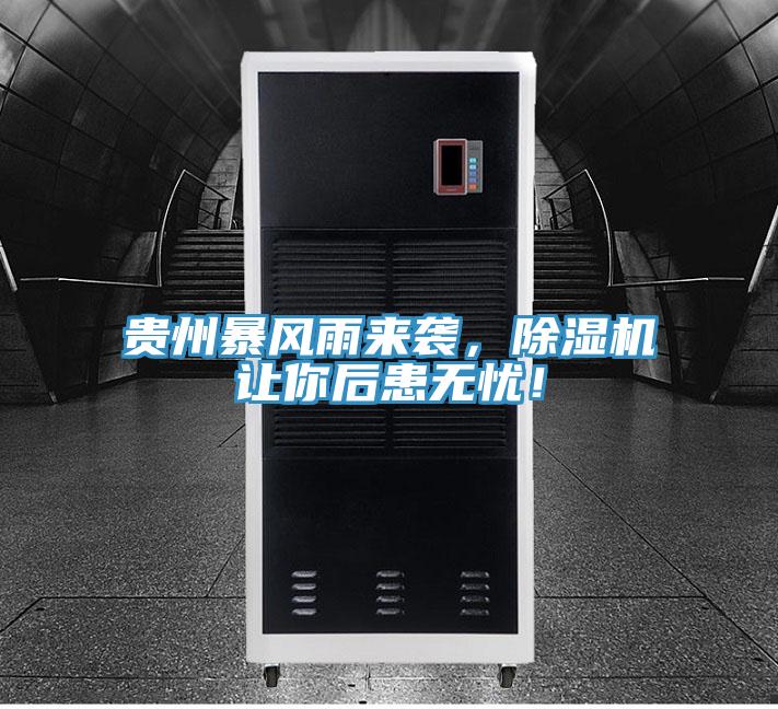 貴州暴風(fēng)雨來襲，除濕機(jī)讓你后患無憂！