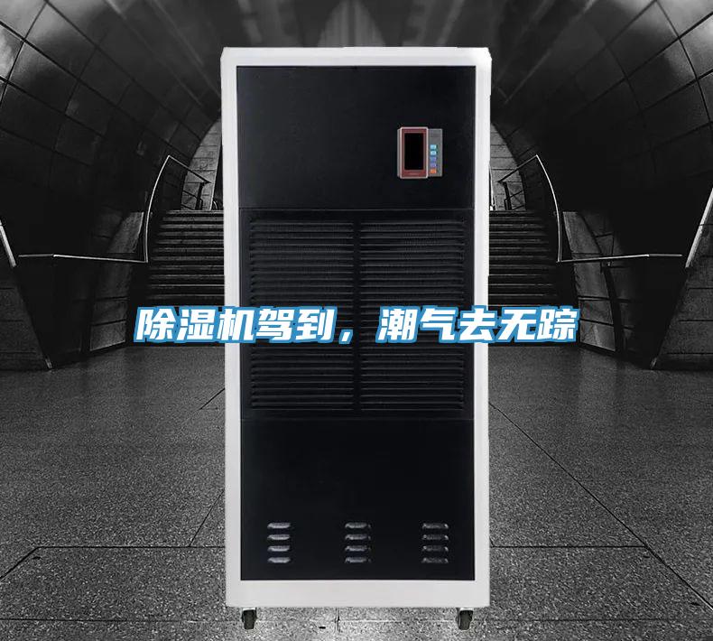 除濕機(jī)駕到，潮氣去無蹤