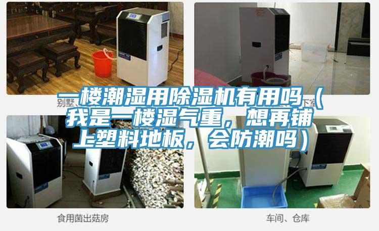 一樓潮濕用除濕機有用嗎（我是一樓濕氣重，想再鋪上塑料地板，會防潮嗎）