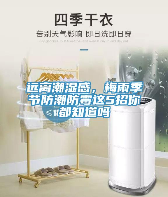 遠離潮濕感，梅雨季節(jié)防潮防霉這5招你都知道嗎