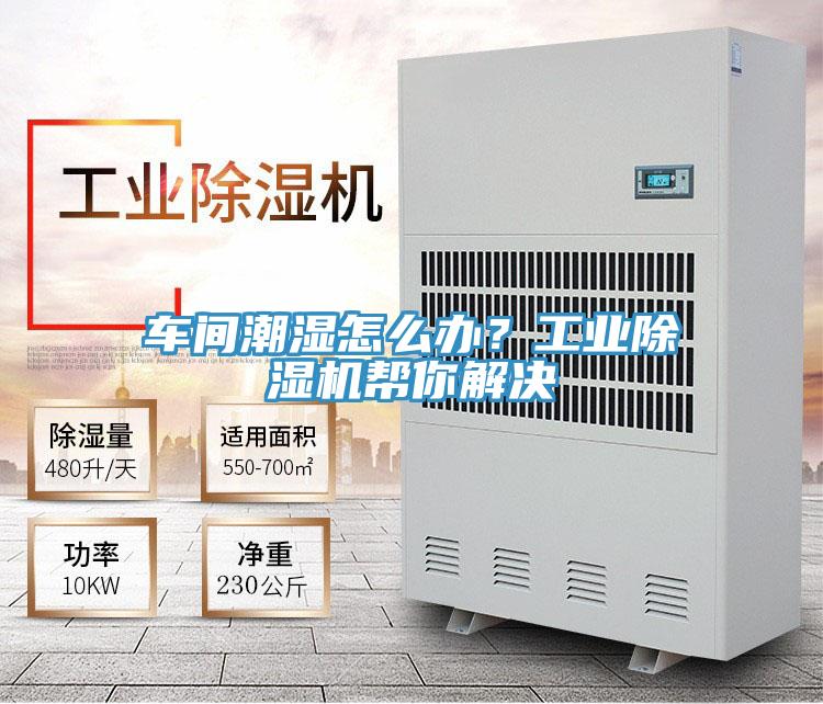 車間潮濕怎么辦？工業(yè)除濕機(jī)幫你解決