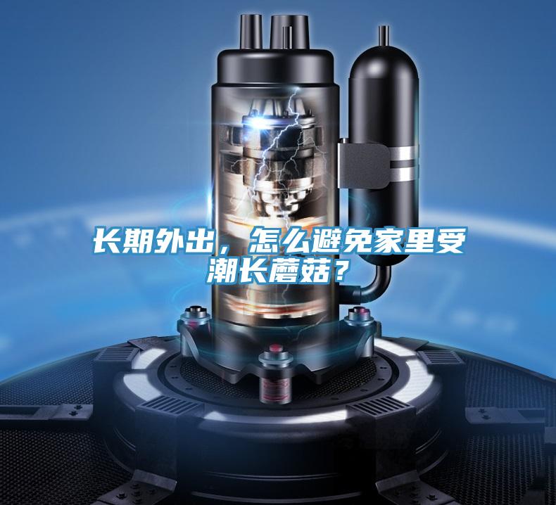 長期外出，怎么避免家里受潮長蘑菇？