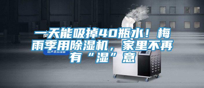一天能吸掉40瓶水！梅雨季用除濕機(jī)，家里不再有“濕”意
