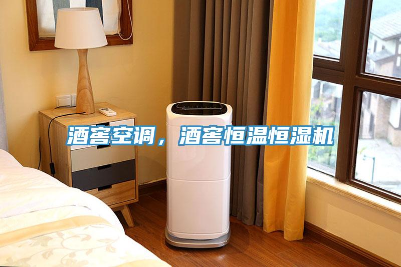 酒窖空調(diào)，酒窖恒溫恒濕機(jī)