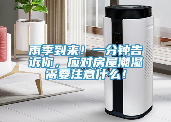 雨季到來！一分鐘告訴你，應對房屋潮濕需要注意什么！