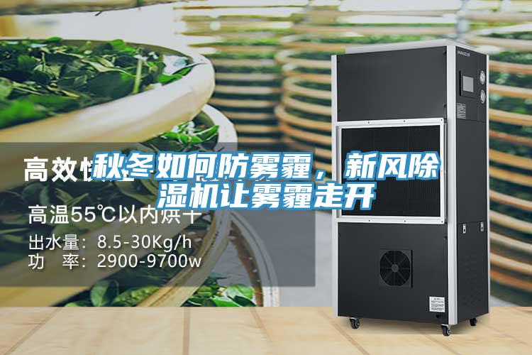 秋冬如何防霧霾，新風(fēng)除濕機(jī)讓霧霾走開