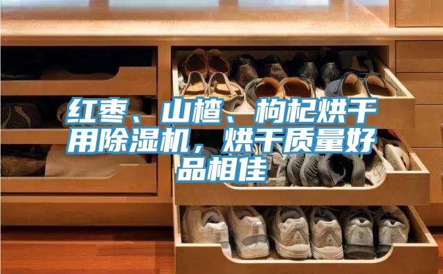 紅棗、山楂、枸杞烘干用除濕機(jī)，烘干質(zhì)量好品相佳
