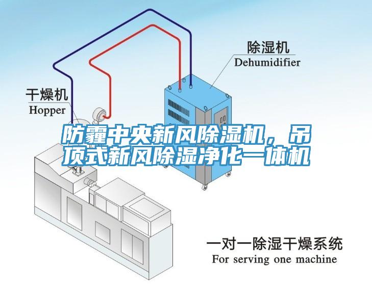 防霾中央新風(fēng)除濕機(jī)，吊頂式新風(fēng)除濕凈化一體機(jī)